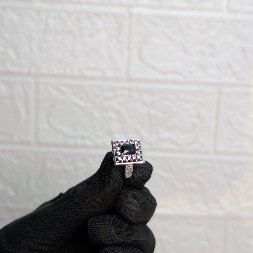 Black Swan Jewelry Box